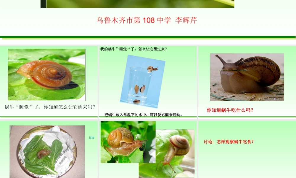 小学三年级科学上册蜗牛二胡绍富