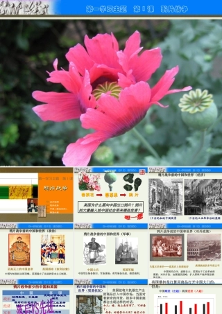 鸦片战争 (2)