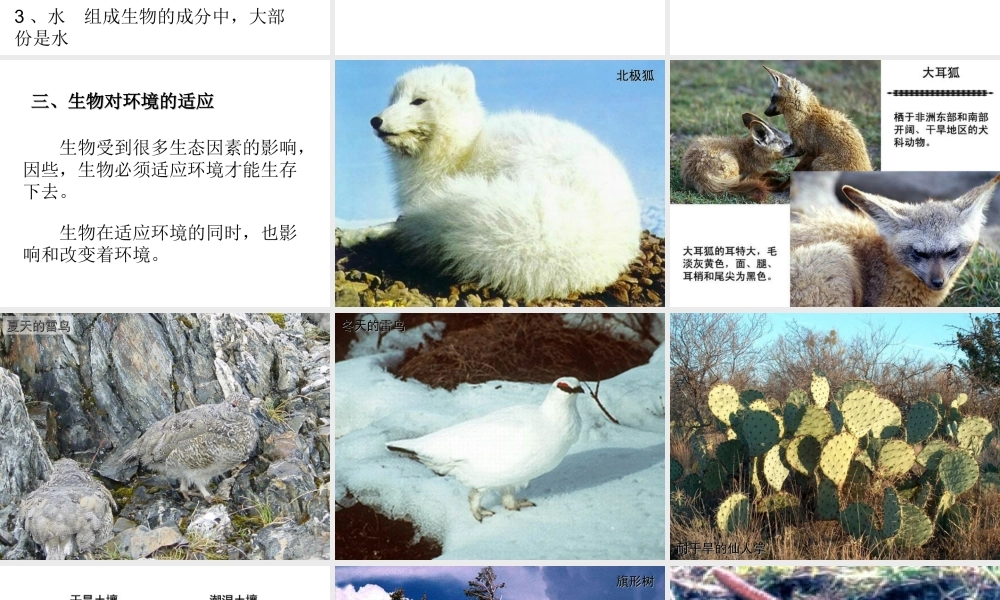 生物与环境的关系