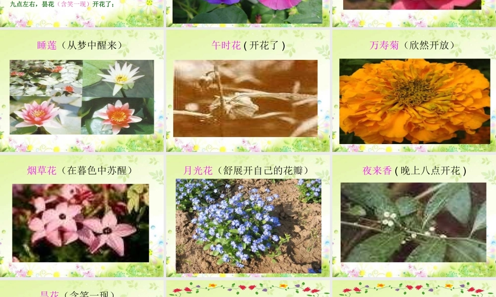 人教版小学语文三年级上册《花钟》PPT课件