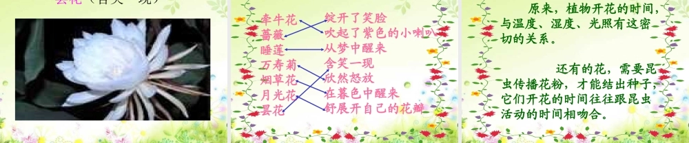 人教版小学语文三年级上册《花钟》PPT课件