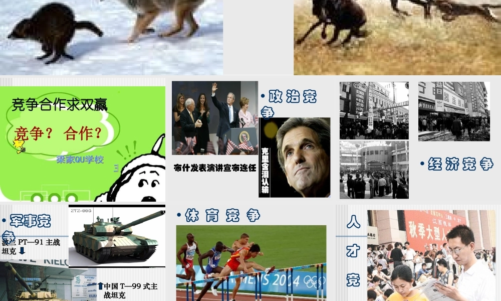 八年级政治竞争合作课件