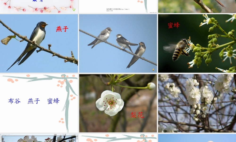 人教版一年级语文下册《识字1》课件PPT