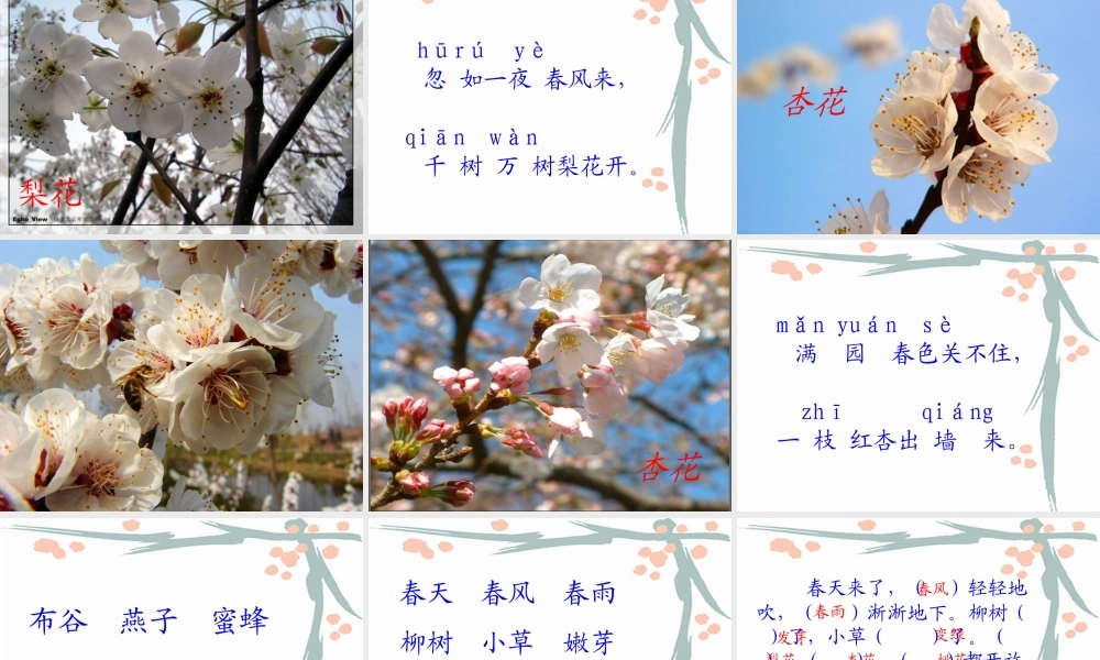 人教版一年级语文下册《识字1》课件PPT