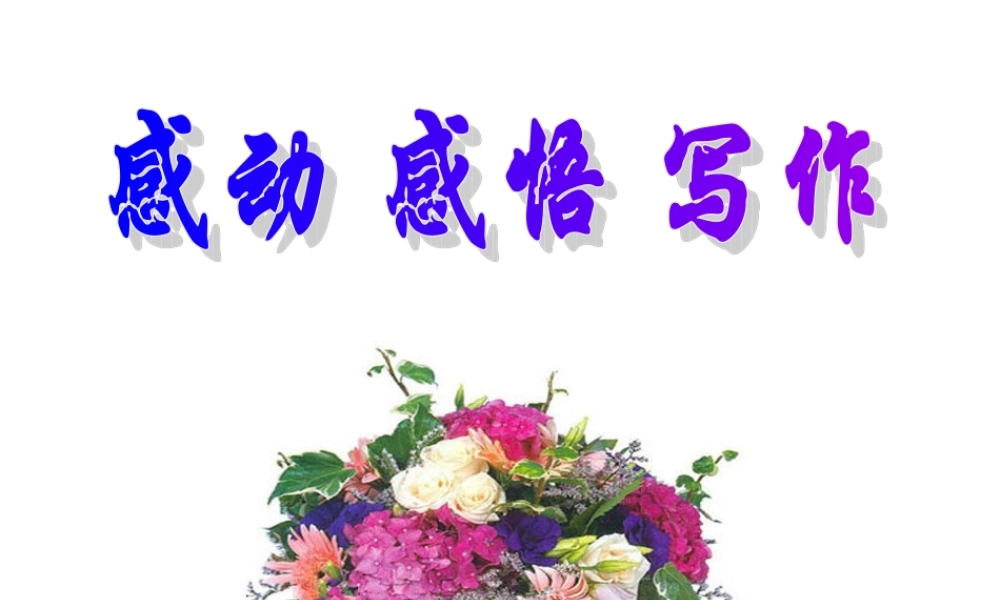 感动_爱_作文练习