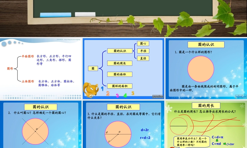 人教版六年级数学上册第八单元第四课时_圆