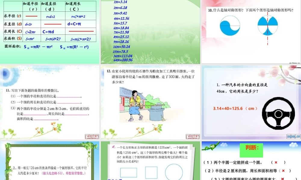 人教版六年级数学上册第八单元第四课时_圆