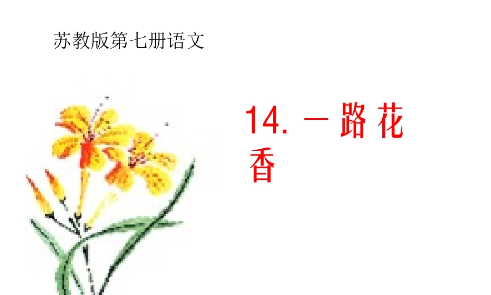 《一路花香》
