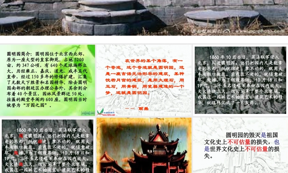 《圆明园的毁灭》 (3)