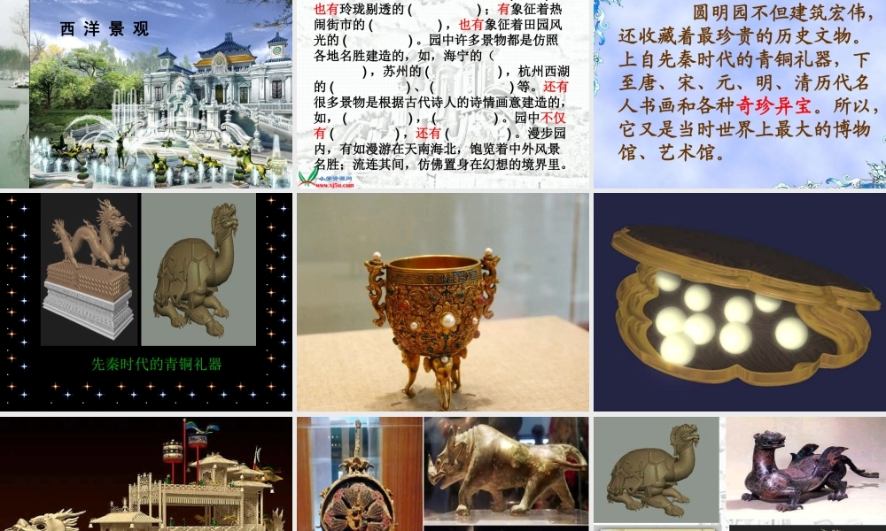 《圆明园的毁灭》 (3)