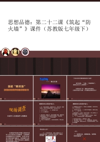 七年级政治下册 第二十二课(筑起 防火墙 )课件 苏教版 课件