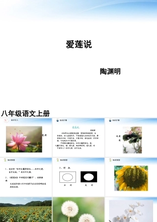 (课件直通车)八年级语文上册 爱莲说课件2 人教新课标版 课件