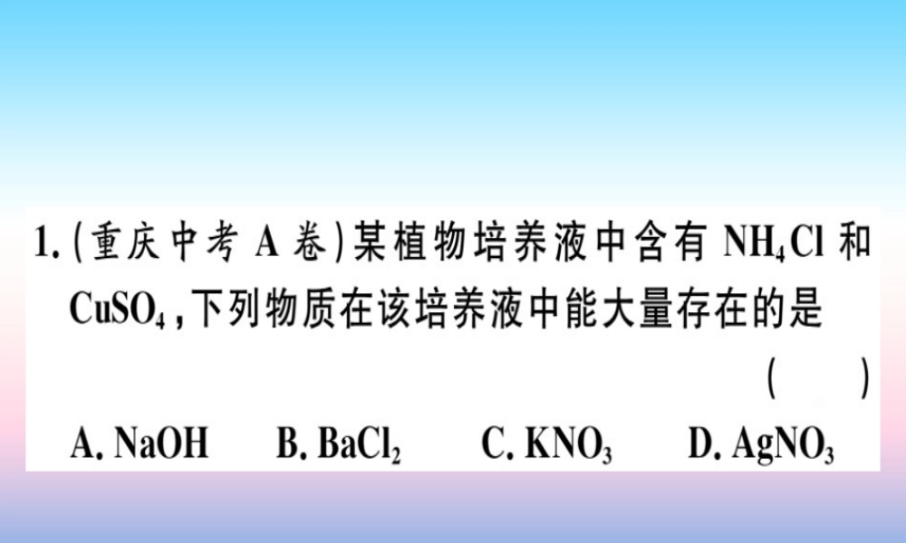 九年级化学下册 专题五 物质的共存、鉴别与除杂习题课件 新人教版 课件