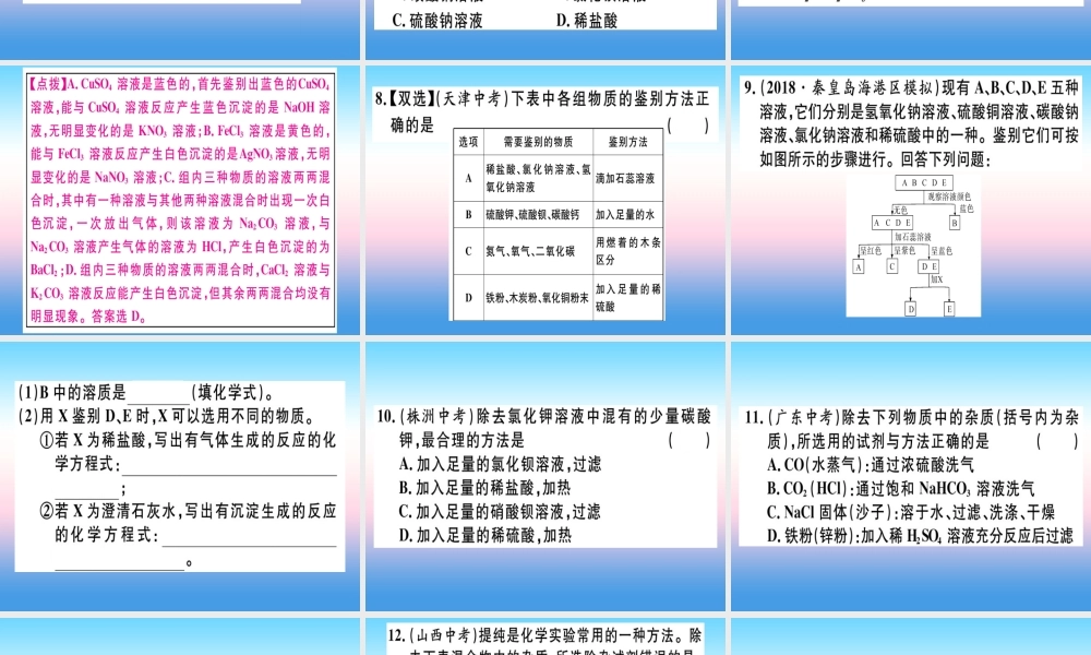 九年级化学下册 专题五 物质的共存、鉴别与除杂习题课件 新人教版 课件