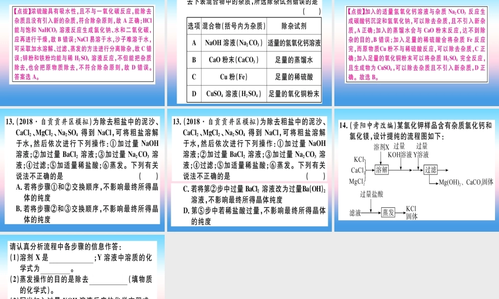 九年级化学下册 专题五 物质的共存、鉴别与除杂习题课件 新人教版 课件