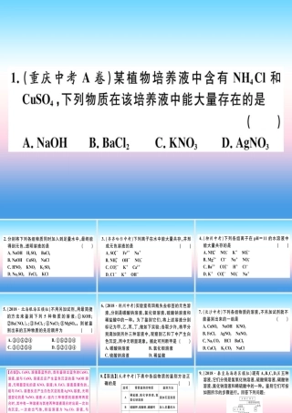 九年级化学下册 专题五 物质的共存、鉴别与除杂习题课件 新人教版 课件