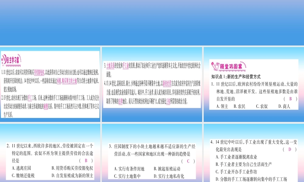 九年级历史上册 第5单元 步入近代 第13课 西欧经济和社会的发展习题课件 新人教版 课件