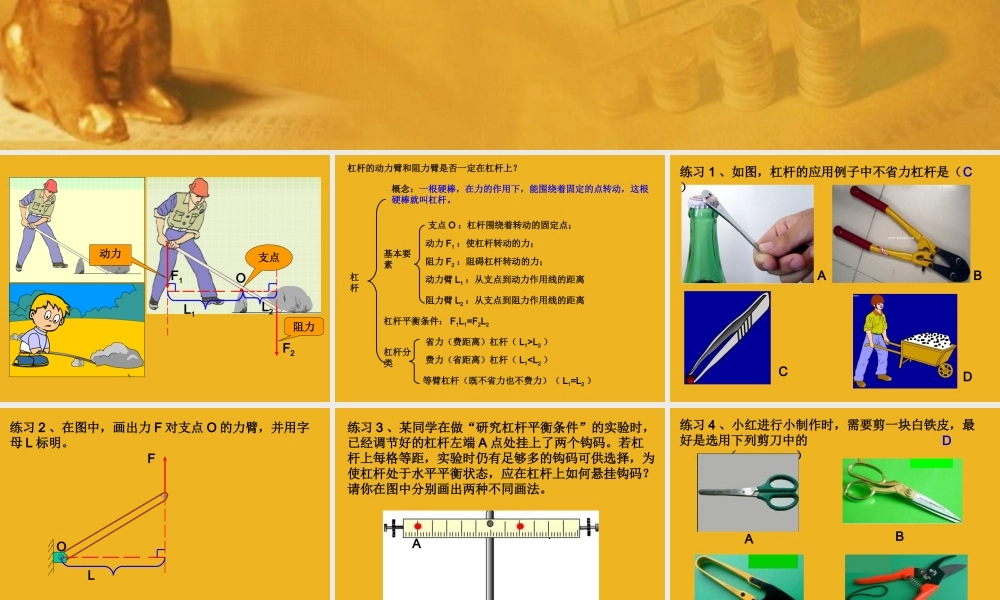 中考科学专题复习 简单机械课件 华师大版 课件