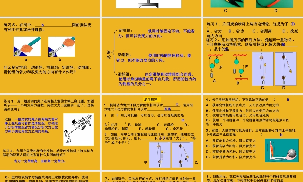 中考科学专题复习 简单机械课件 华师大版 课件