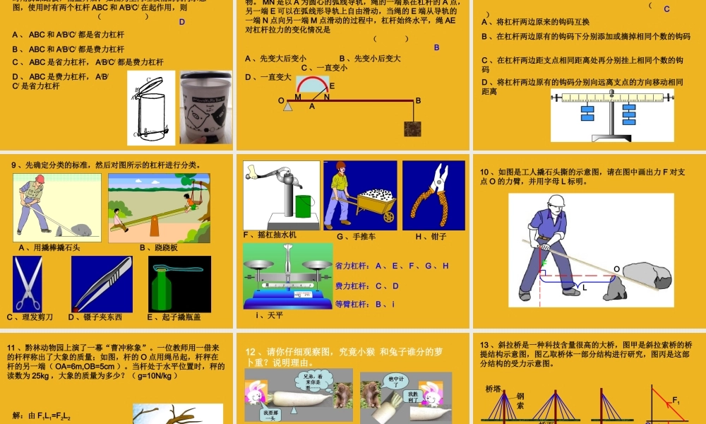 中考科学专题复习 简单机械课件 华师大版 课件