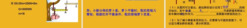 中考科学专题复习 简单机械课件 华师大版 课件