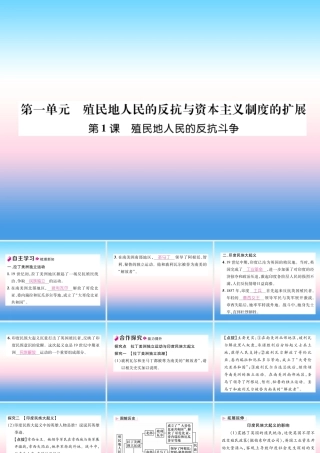 九年级历史下册 第1单元 殖民地人民的反抗与资本主义制度的扩展 第1课 殖民地人民的反抗斗争自主学习课件 新人教版 课件