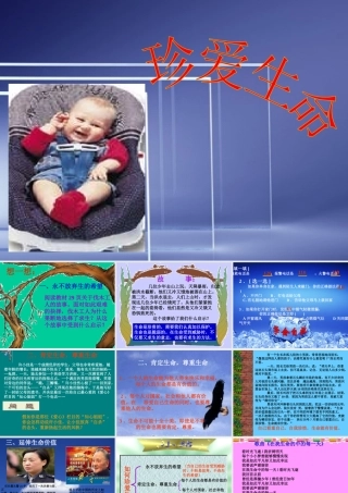 七年级政治珍爱生命课件 新课标 人教版 课件