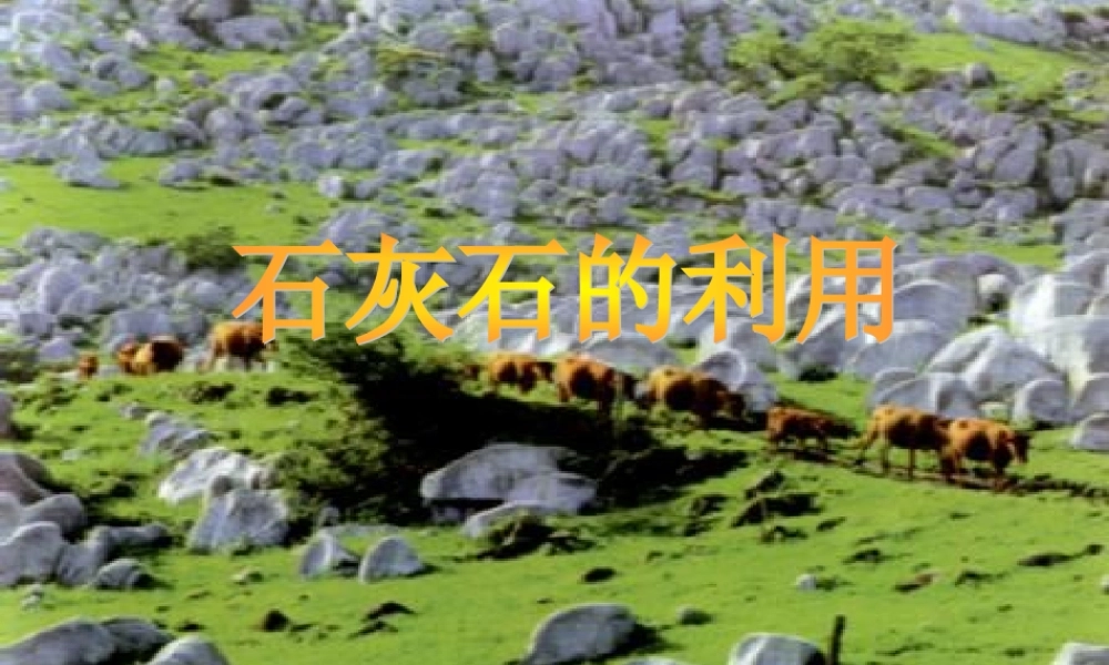 九年级化学 54石灰石的利用课件 沪教版 课件