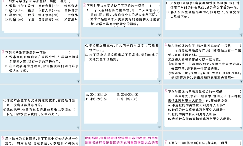 (江西专版)九年级语文上册 第六单元 24 刘姥姥进大观园作业课件 新人教版 课件