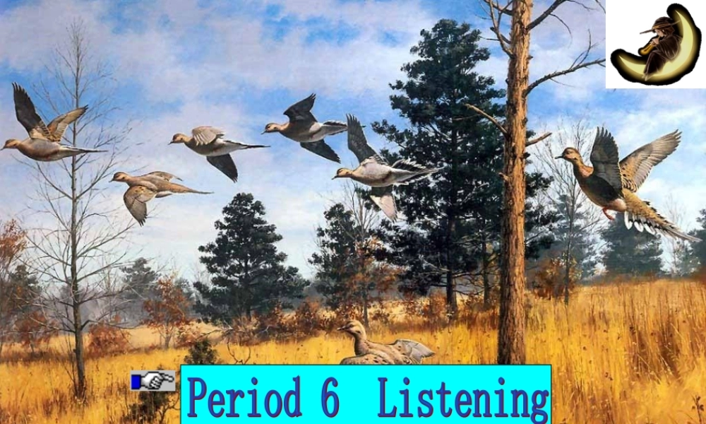 M2 Unit4 ListeningP6 高一英语Unit4全单元课件[整理五个]新课标 人教版