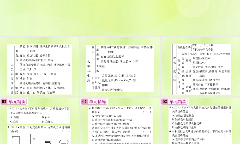 九年级化学下册 第十二单元 化学与生活单元复习(十二)化学与生活复习课件 (新版)新人教版 课件