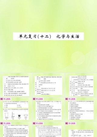 九年级化学下册 第十二单元 化学与生活单元复习(十二)化学与生活复习课件 (新版)新人教版 课件