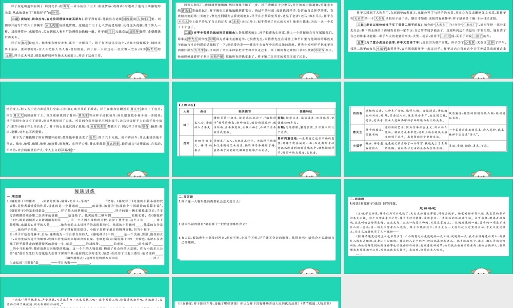 中考语文 名著导读专题讲解(三)骆驼祥子课件 新人教版 课件