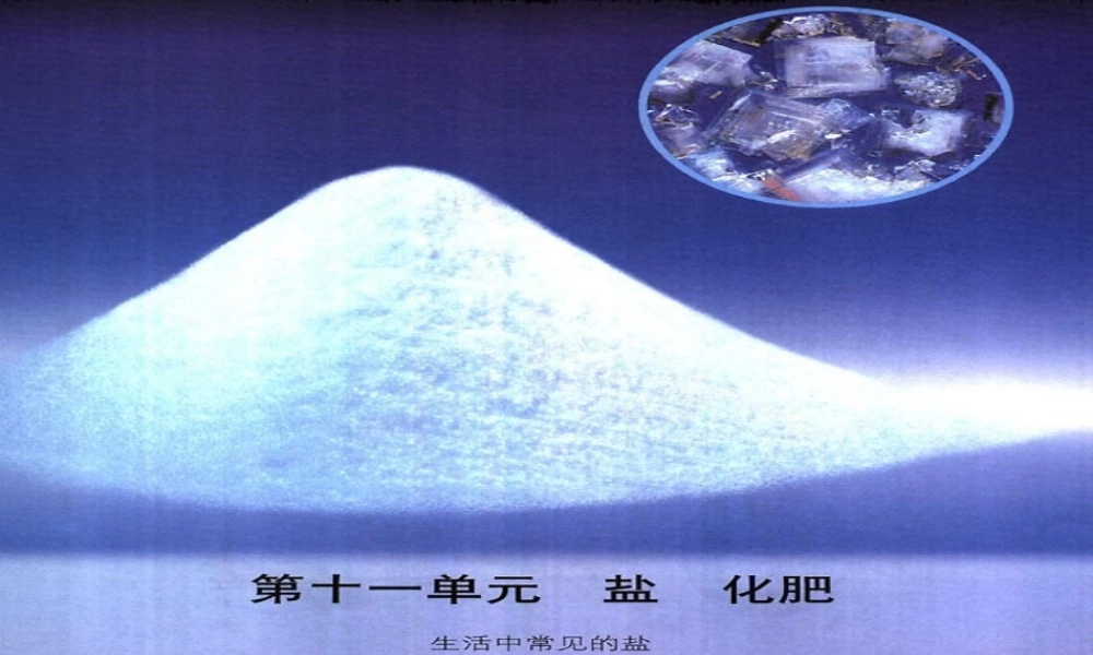 九年级化学下册 第十一单元课题一生活中常见的盐授课课件 人教新课标版 课件