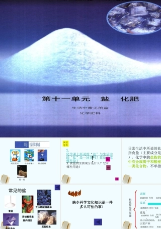 九年级化学下册 第十一单元课题一生活中常见的盐授课课件 人教新课标版 课件