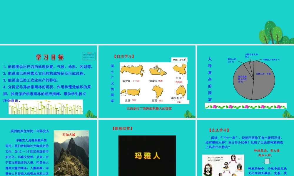 七年级地理下册 第九章 第二节 巴西课件 七年级地理下册 第九章 第二节 巴西课件+素材(新版)新人教版