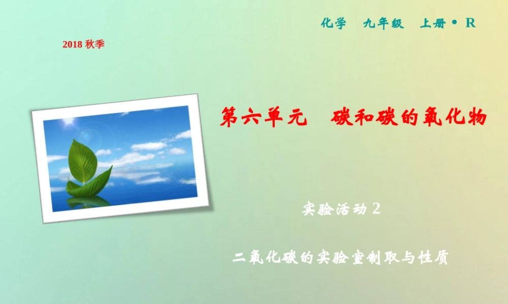 九年级化学上册 第6单元 碳和碳的氧化物 实验活动2 二氧化碳的实验室制取与性质作业课件 (新版)新人教版 课件