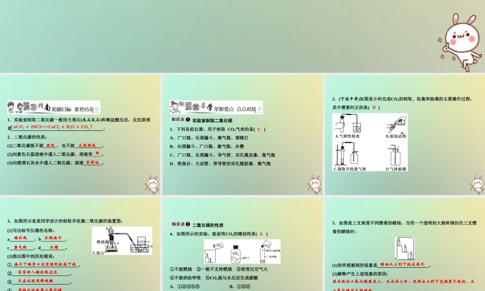 九年级化学上册 第6单元 碳和碳的氧化物 实验活动2 二氧化碳的实验室制取与性质作业课件 (新版)新人教版 课件
