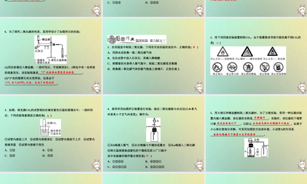 九年级化学上册 第6单元 碳和碳的氧化物 实验活动2 二氧化碳的实验室制取与性质作业课件 (新版)新人教版 课件