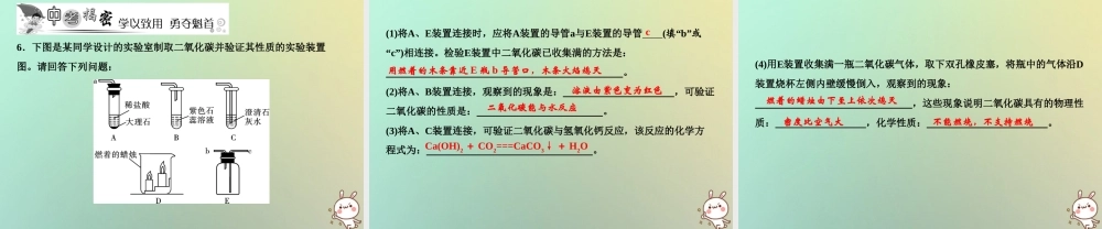 九年级化学上册 第6单元 碳和碳的氧化物 实验活动2 二氧化碳的实验室制取与性质作业课件 (新版)新人教版 课件