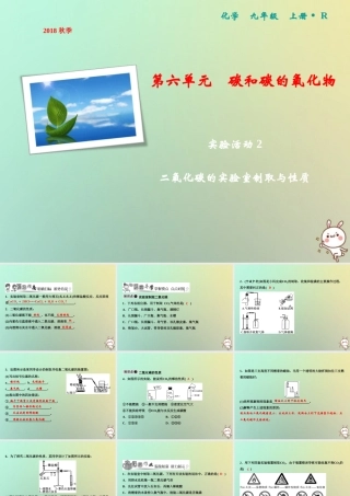 九年级化学上册 第6单元 碳和碳的氧化物 实验活动2 二氧化碳的实验室制取与性质作业课件 (新版)新人教版 课件