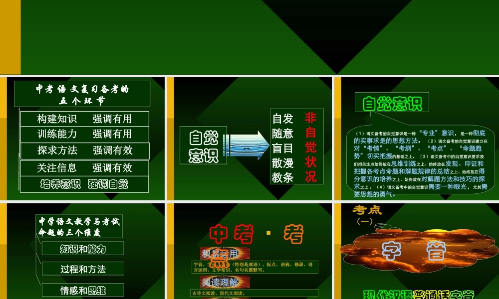 中考语文备考讲座课件