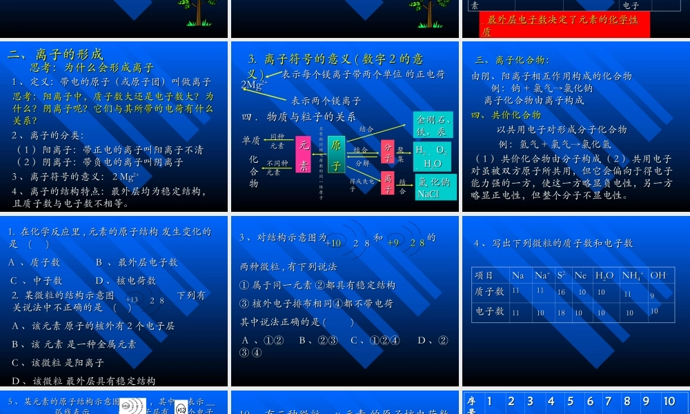 九年级化学离子课件一 新课标 人教版 课件