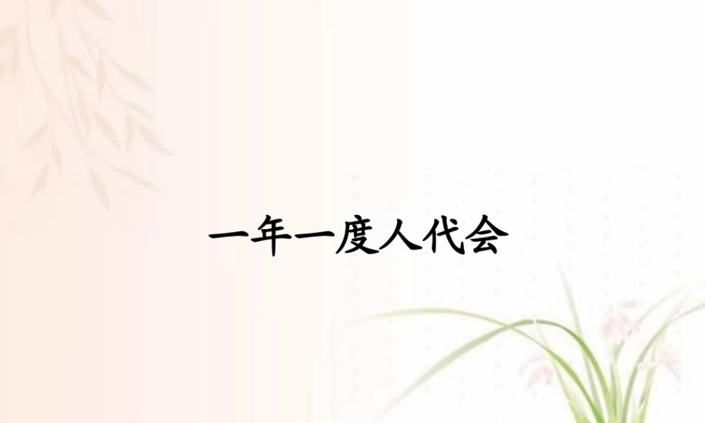 一度人代会资料课件