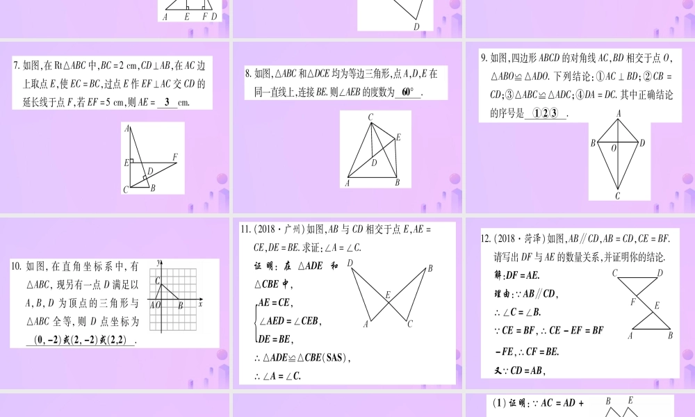 (云南专用)中考数学 第一轮 考点系统复习 第4章 三角形 第4节 全等三角形作业课件