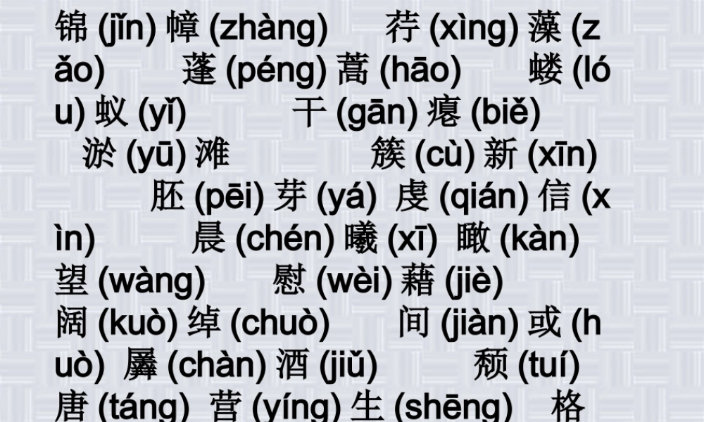 中考语文大复习之字词课件 人教版 课件