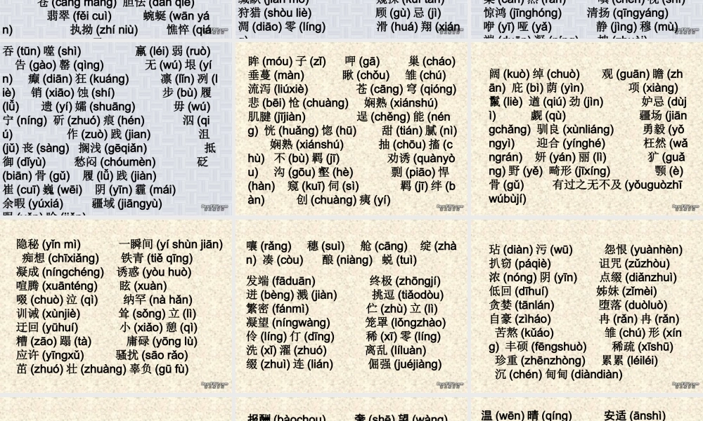 中考语文大复习之字词课件 人教版 课件