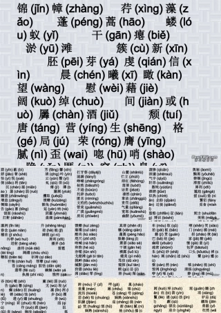 中考语文大复习之字词课件 人教版 课件