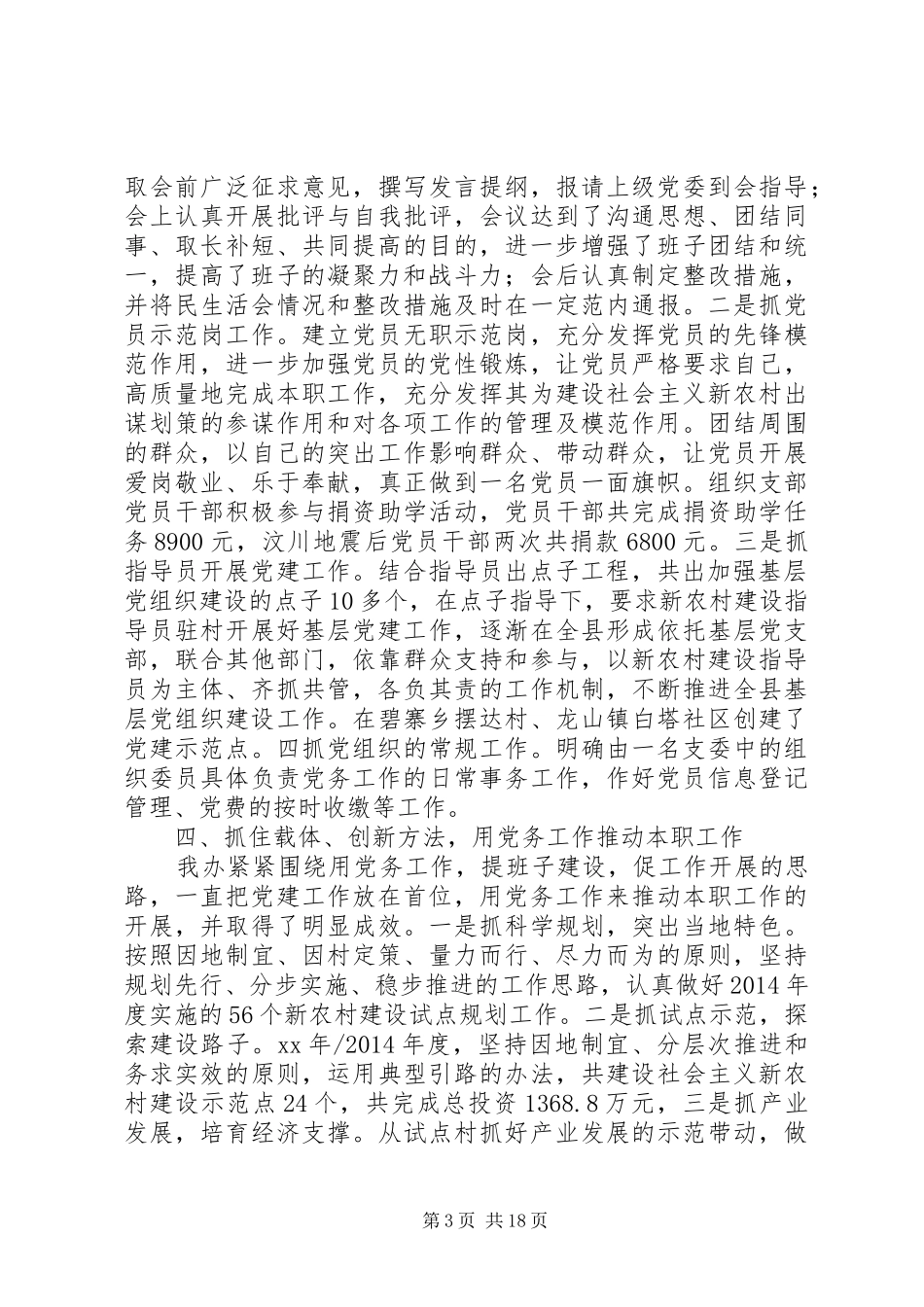 新农办党支部工作总结(精选多篇)_第3页