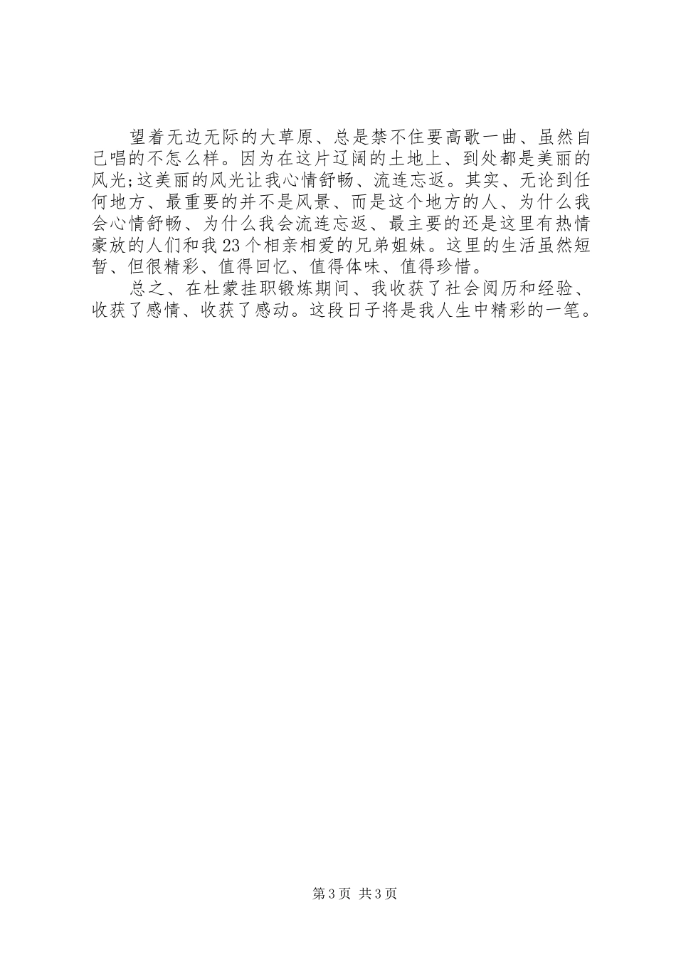 挂职锻炼的年度工作总结_第3页